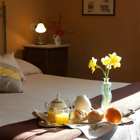Andrei Guest house